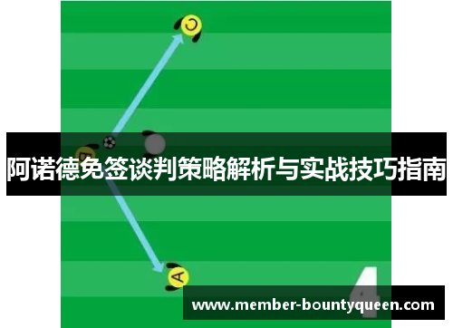 阿诺德免签谈判策略解析与实战技巧指南