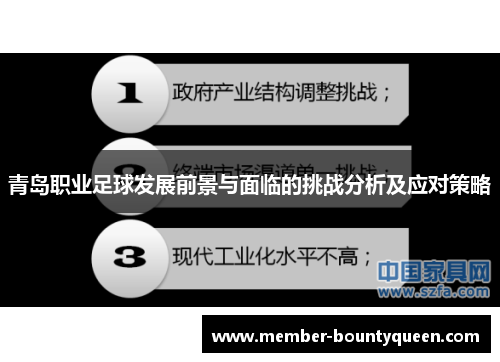 青岛职业足球发展前景与面临的挑战分析及应对策略